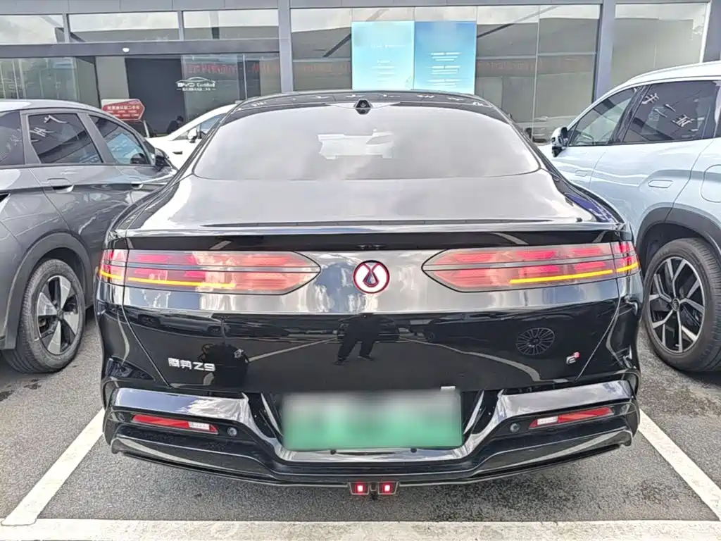 Denza Denza Z9 — миниатюра 6