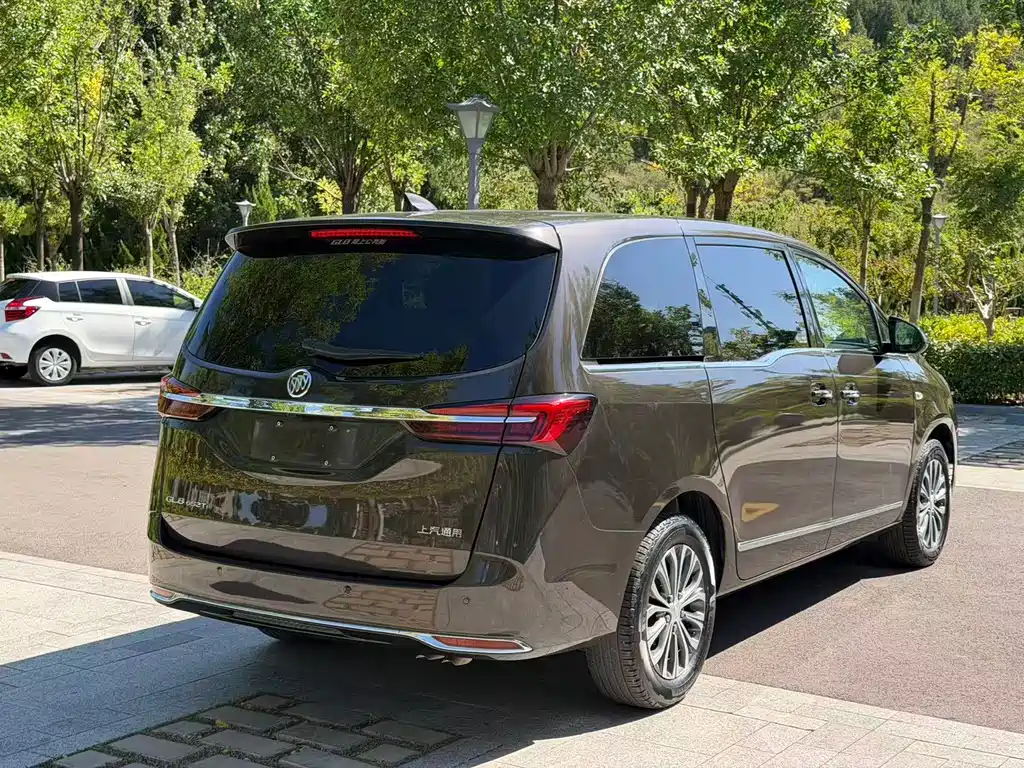 Buick GL8 — миниатюра 19