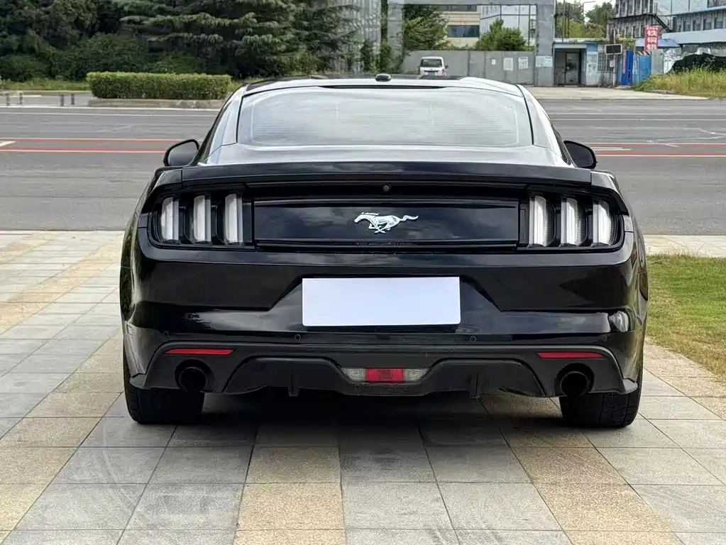 Ford Mustang — миниатюра 7