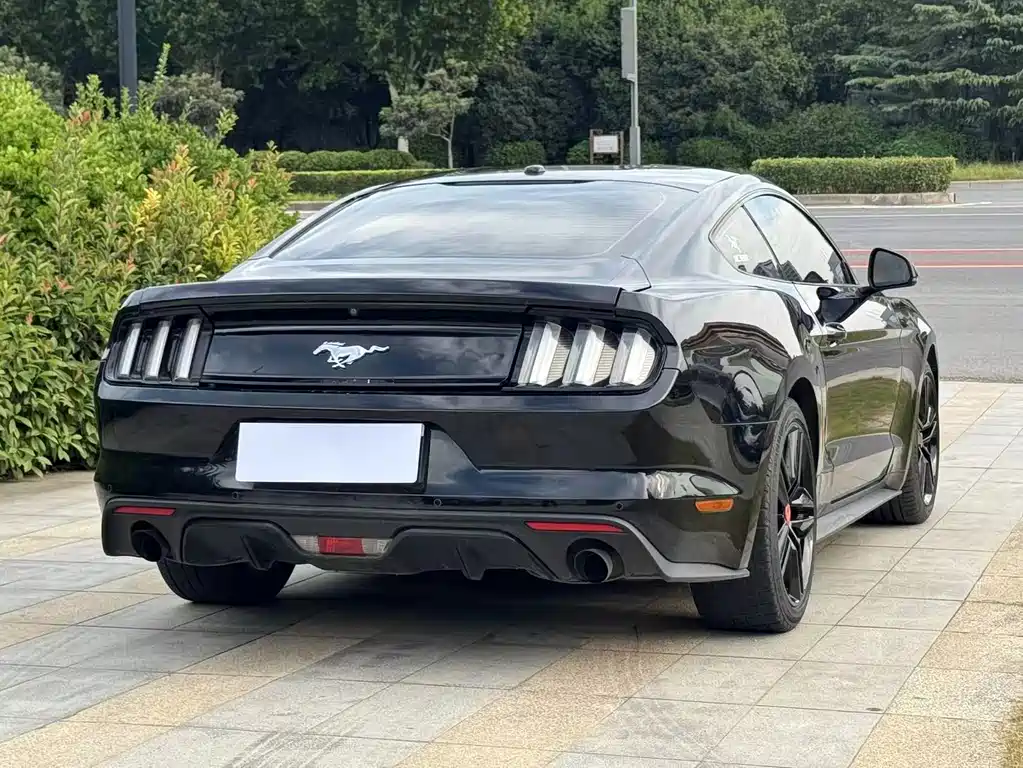 Ford Mustang — миниатюра 9