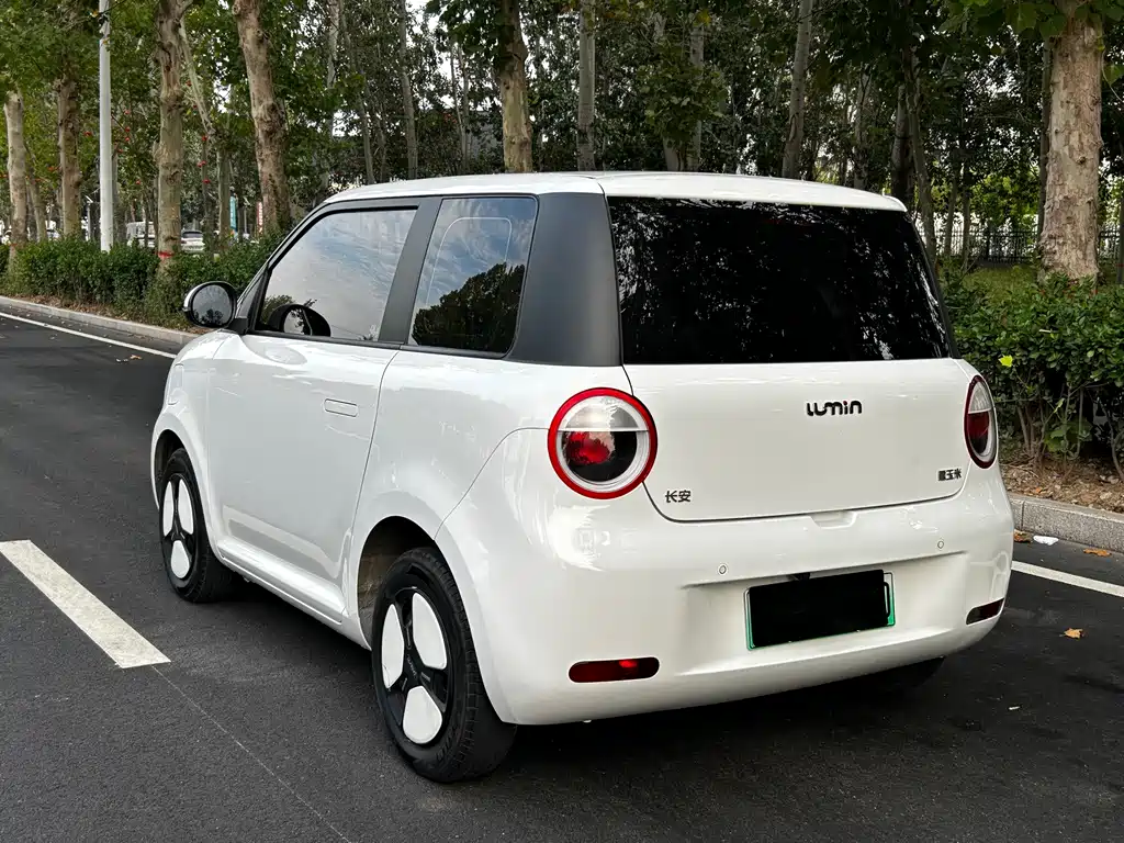 Qiyuan Lumin — миниатюра 4