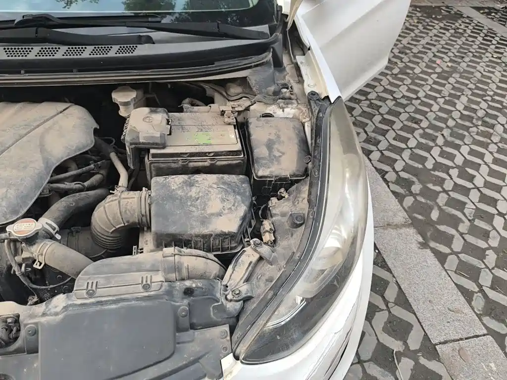 Hyundai Elantra Langdong — миниатюра 20