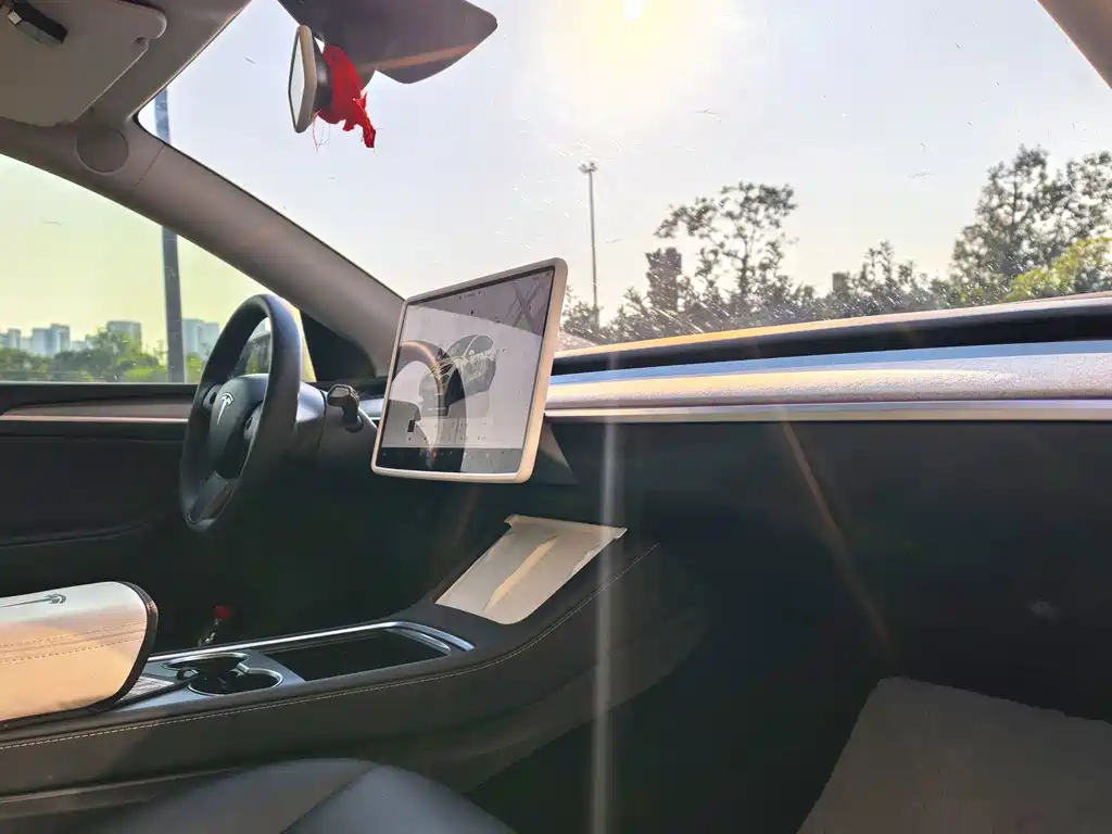 Tesla Model Y — миниатюра 9