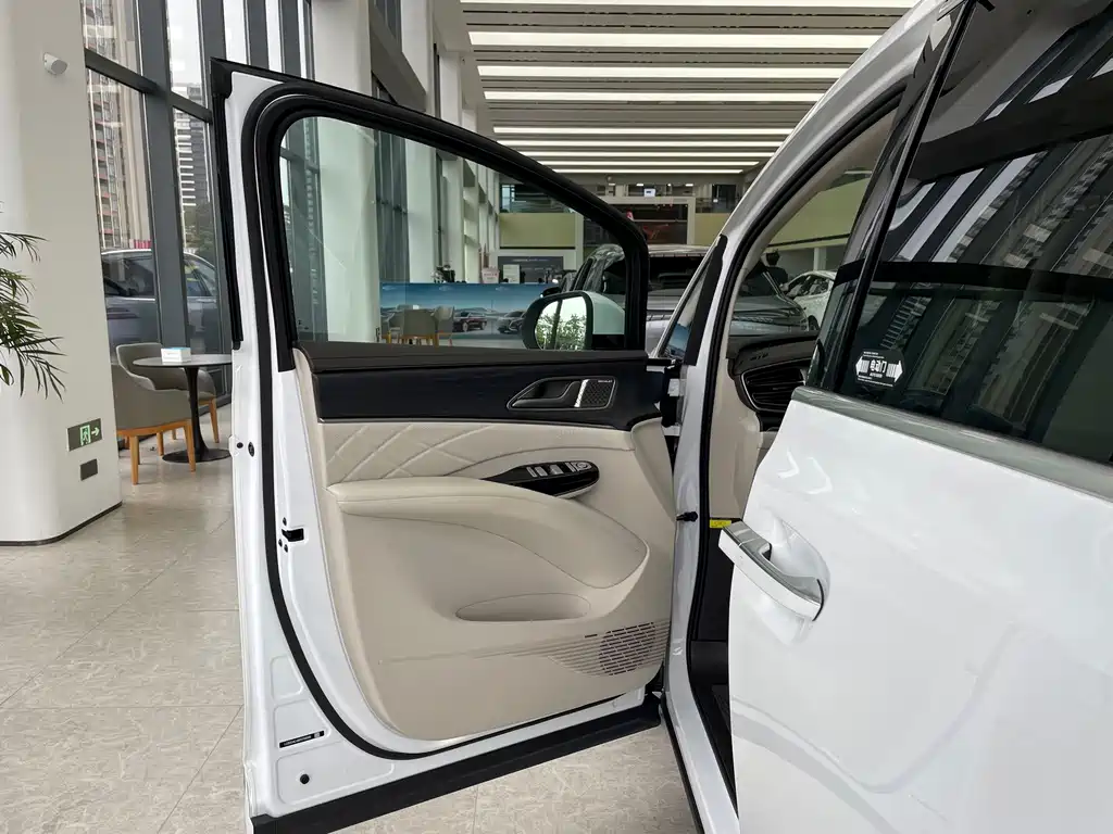 Denza Denza D9 — миниатюра 8
