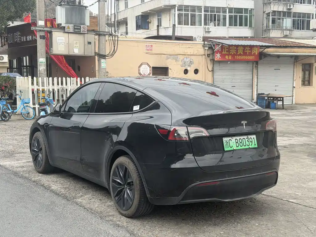 TESLA MODEL Y