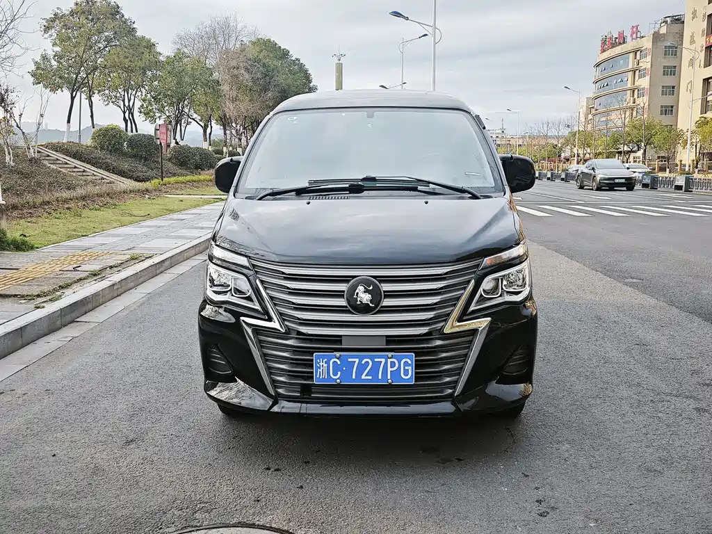 DONGFENG LINGZHI