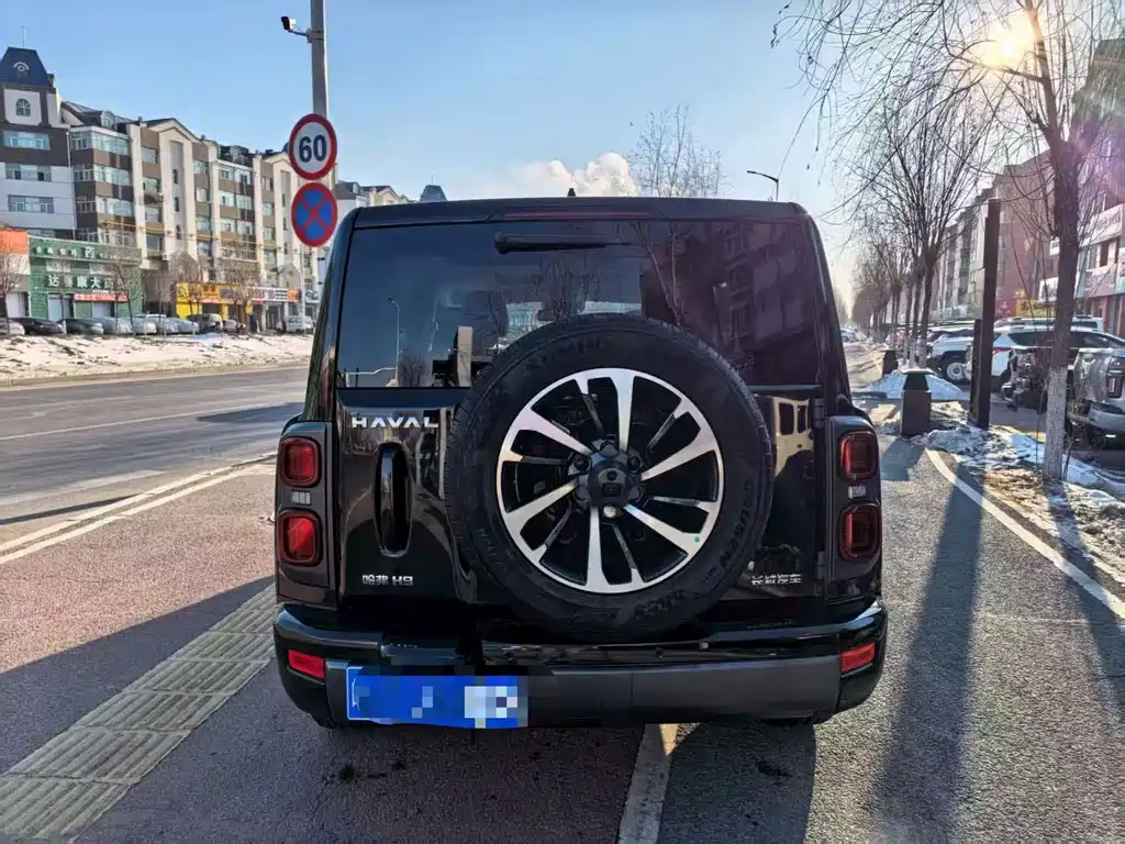 HAVAL H9