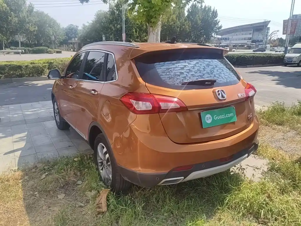 BAW Weiwang S50 — миниатюра 5