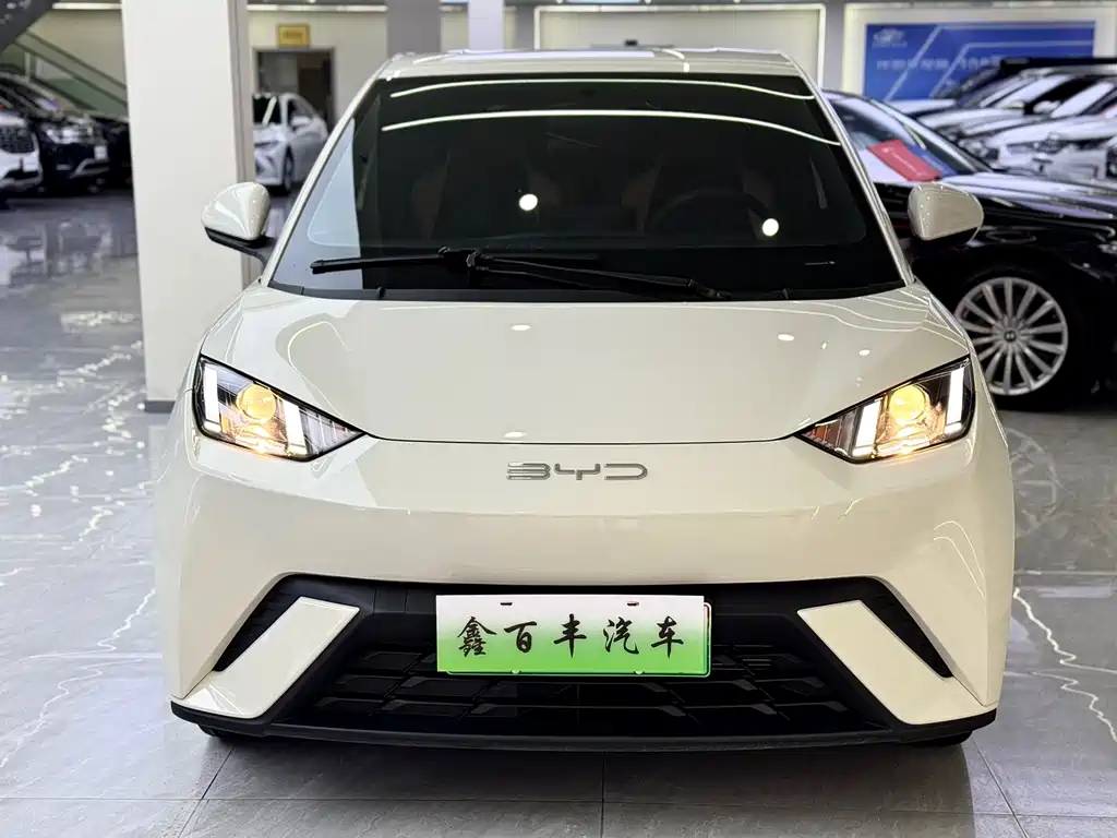 BYD Seagull