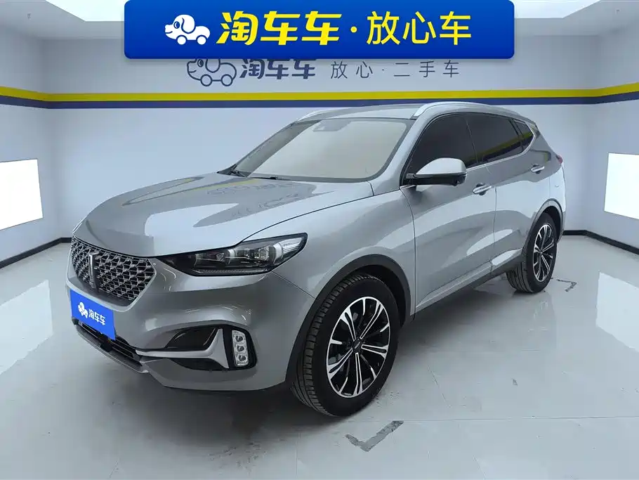 Wey Wey VV6 2021