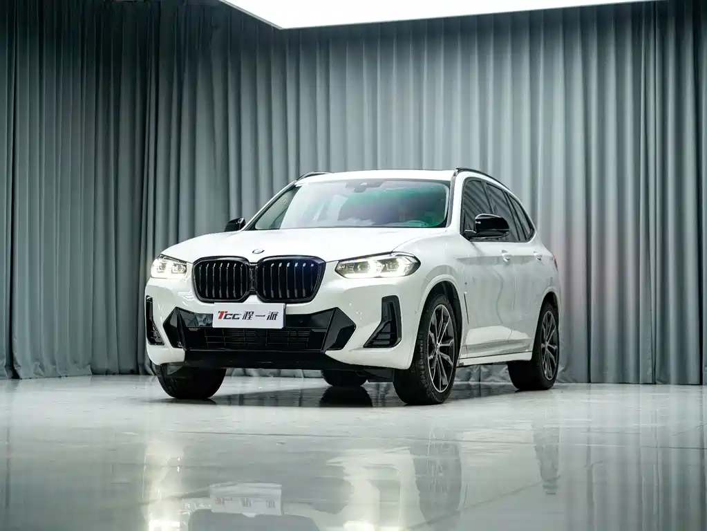 BMW X3 — миниатюра 2