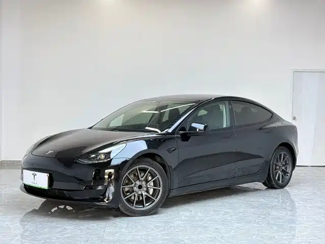TESLA MODEL 3 2021