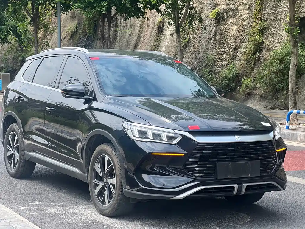 BYD Pro New Energy - фото 18