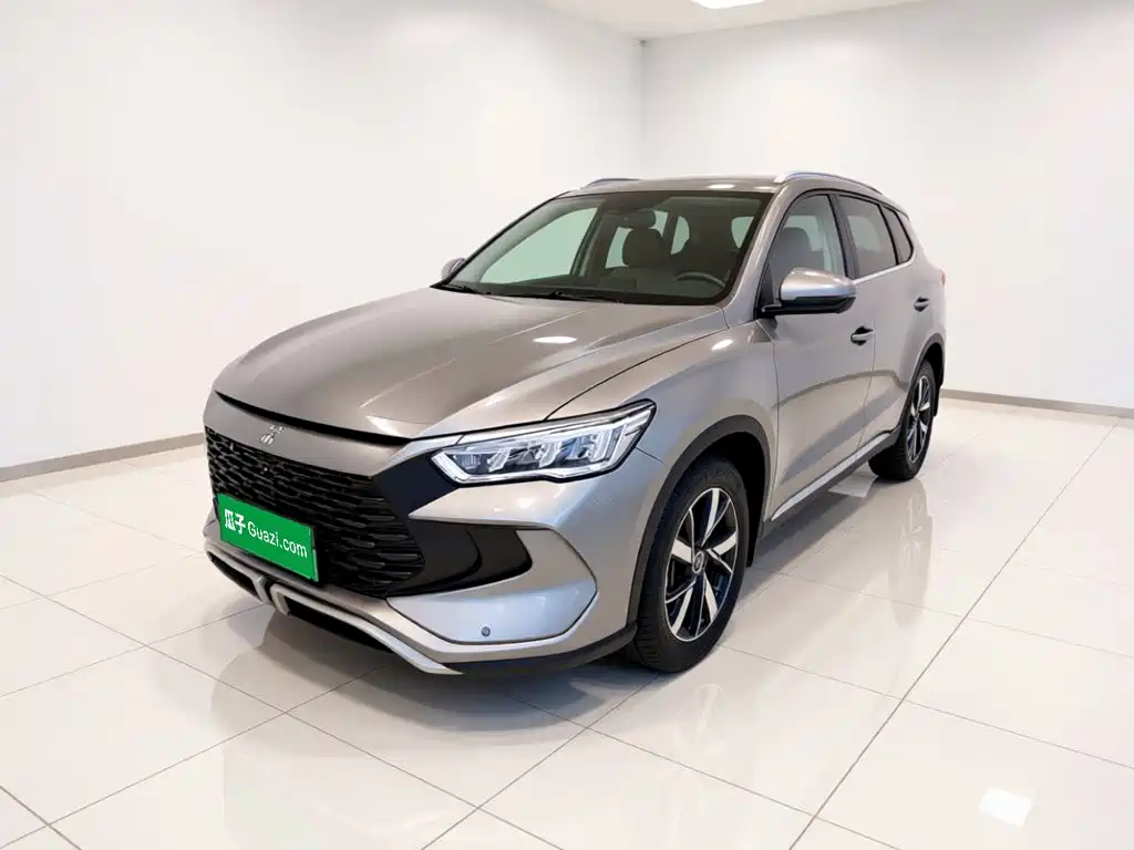 BYD Pro New Energy
