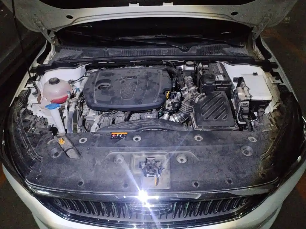 Geely Emgrand — миниатюра 11