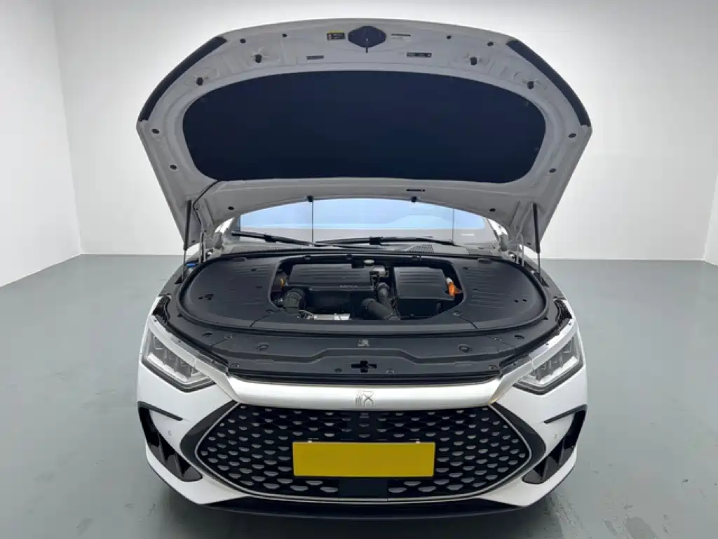 BYD Han — миниатюра 9