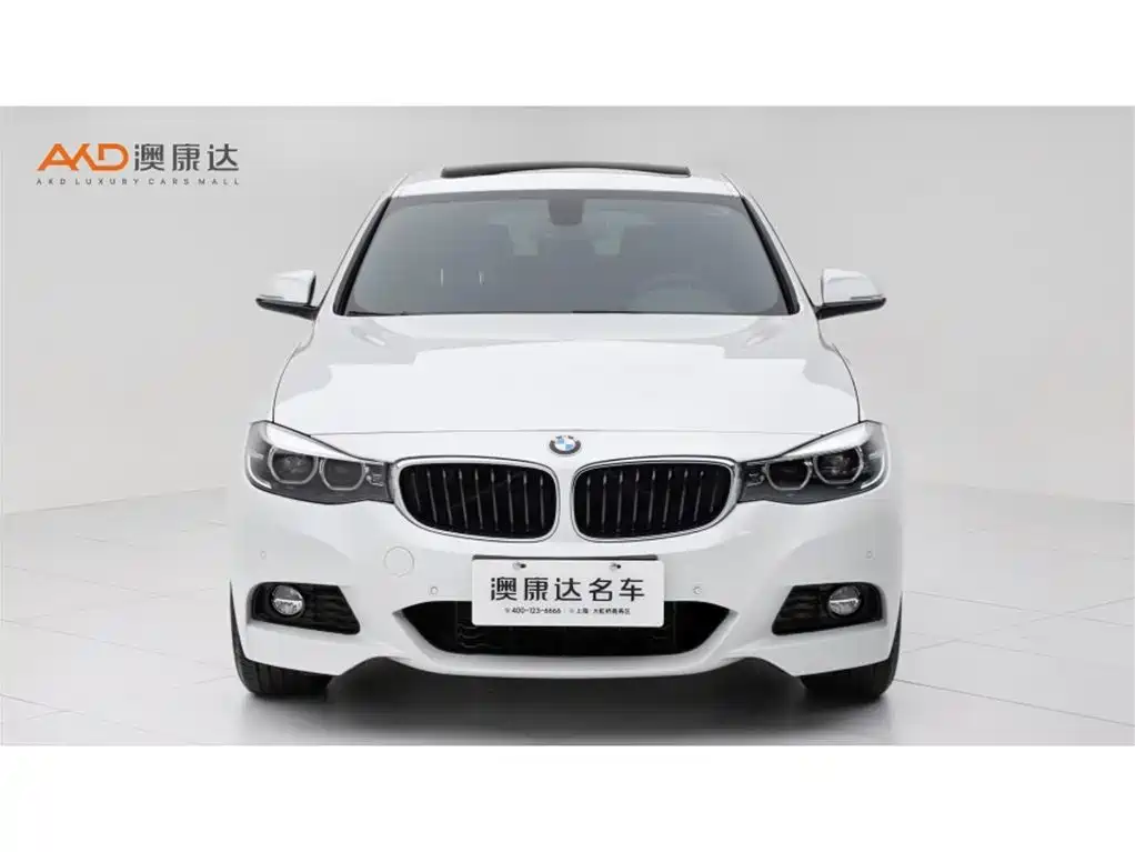 BMW 3 Series GT — миниатюра 2