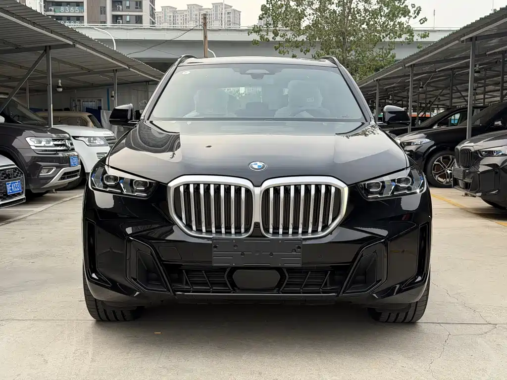 BMW X5 — миниатюра 2