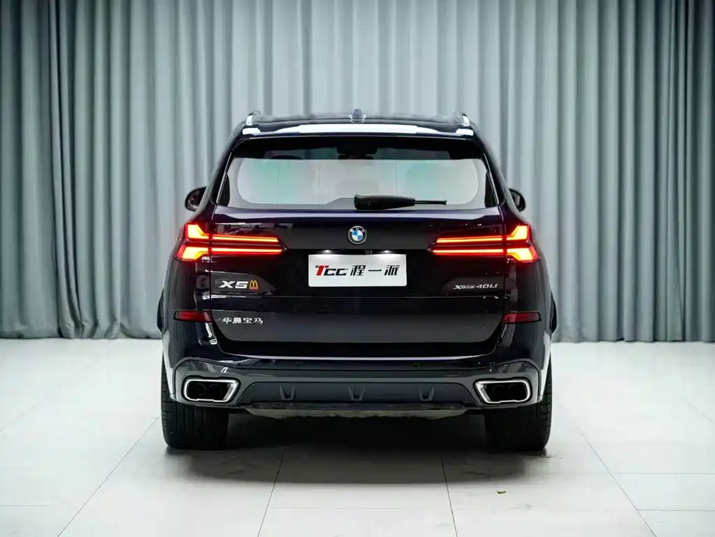 BMW X5 — миниатюра 11