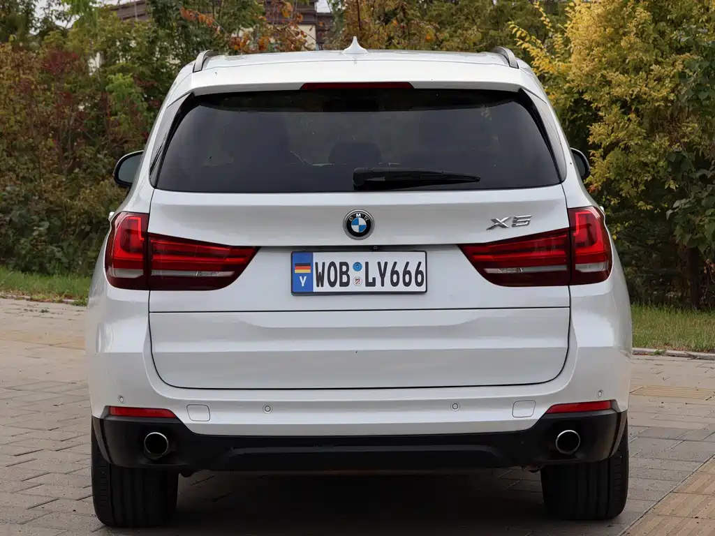 BMW X5 (Import) — миниатюра 9