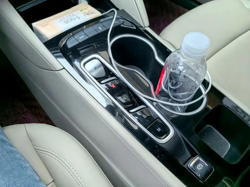 Buick Regal — миниатюра 15