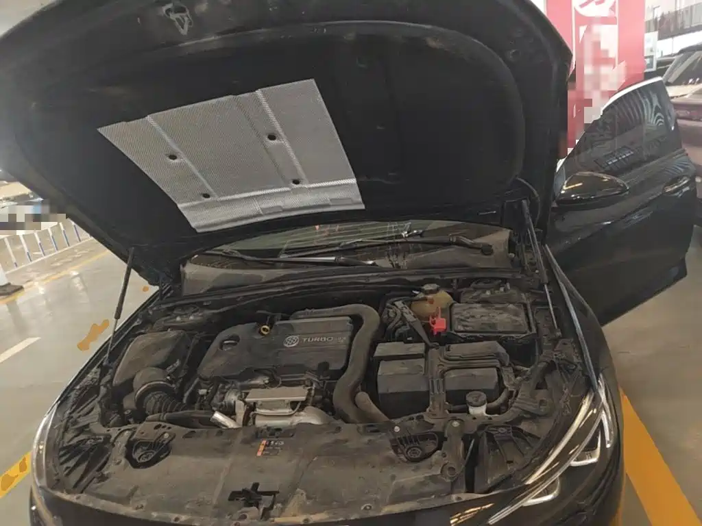 Buick Regal — миниатюра 20