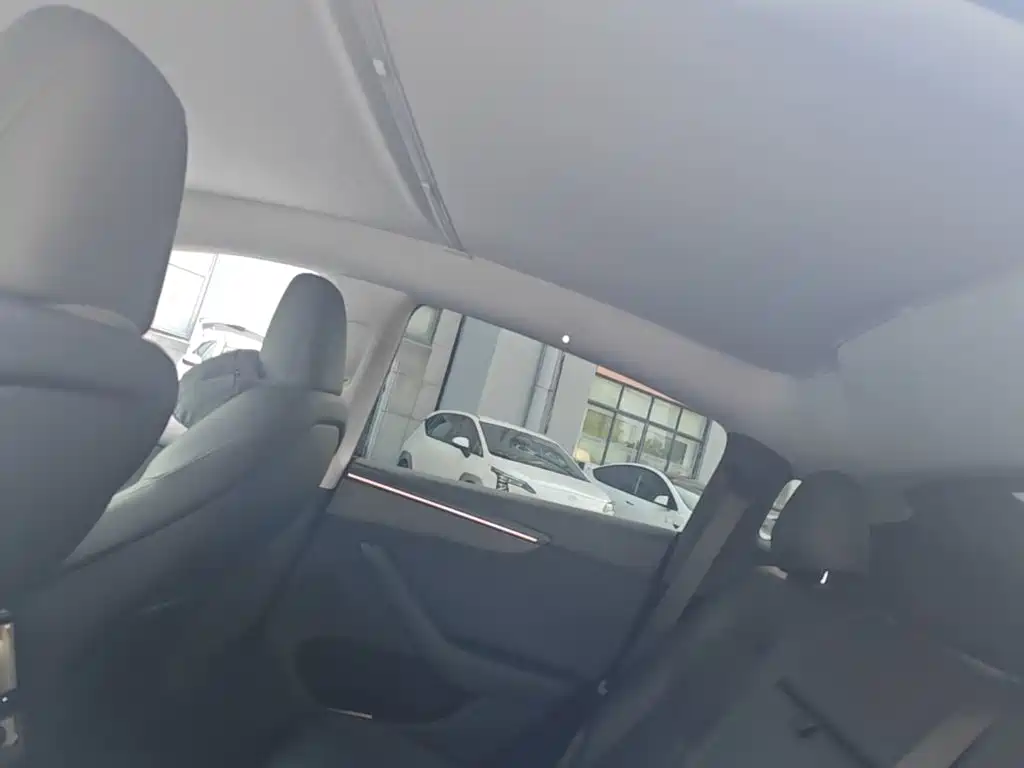 Tesla Model Y — миниатюра 18