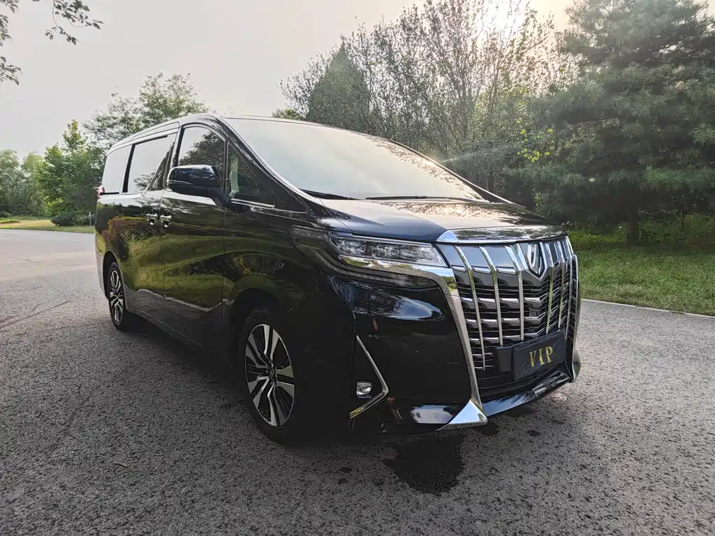 TOYOTA ELFA