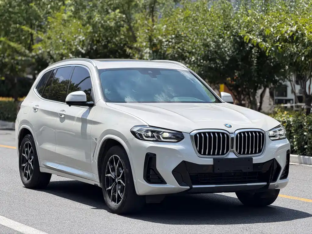 BMW X3 — миниатюра 3