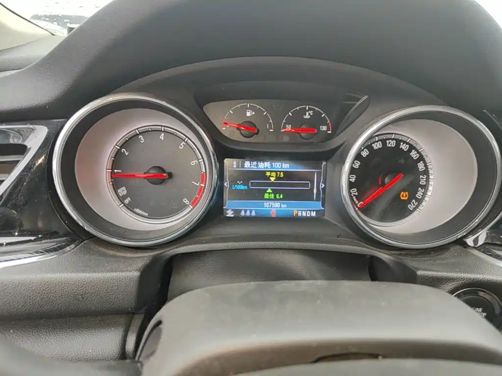 Buick Regal — миниатюра 12