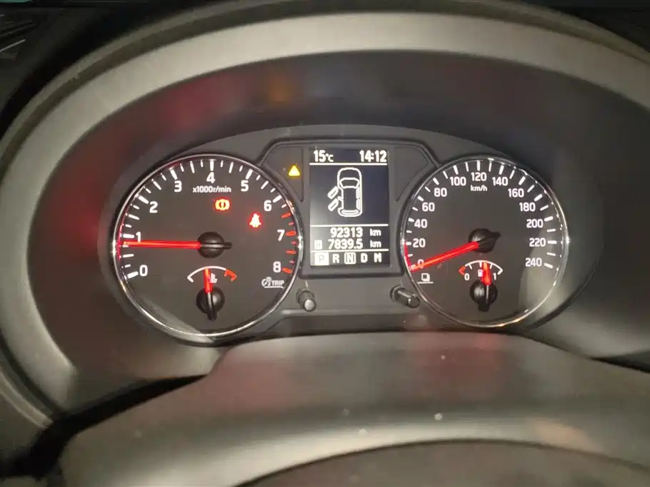 DONGFENG DONGFENG DEMEANOR MX6