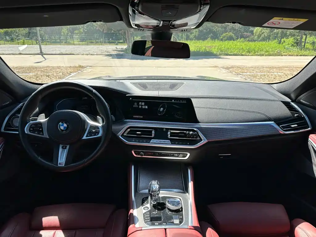 BMW X6 — миниатюра 11