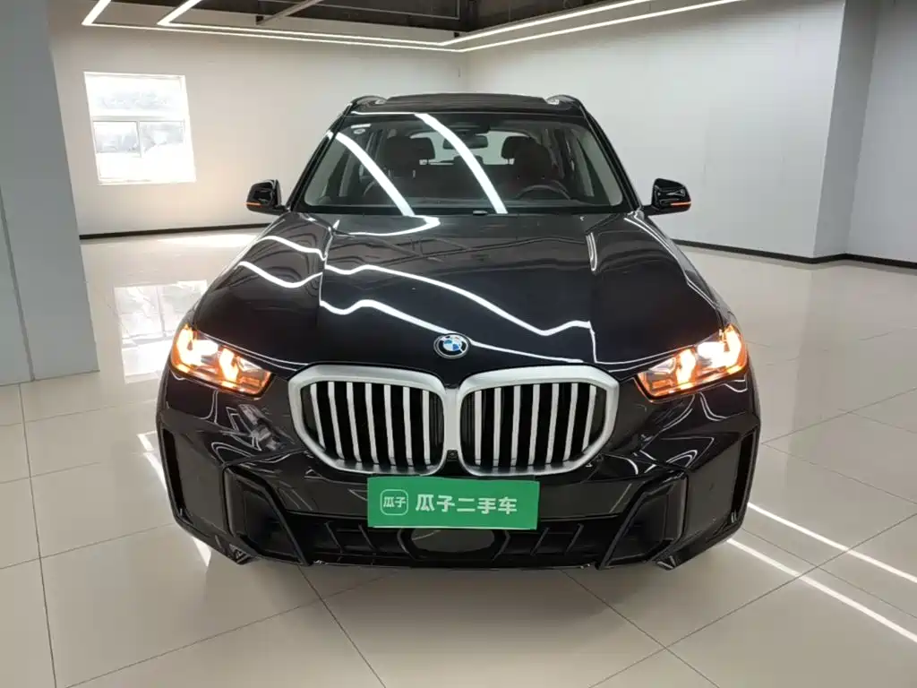 BMW X5 — миниатюра 3