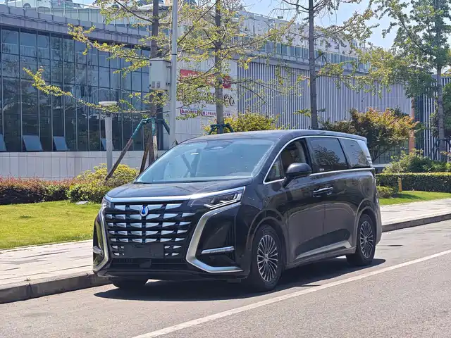 2024 Denza D9