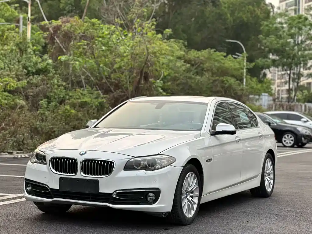 BMW 5 Series 2013