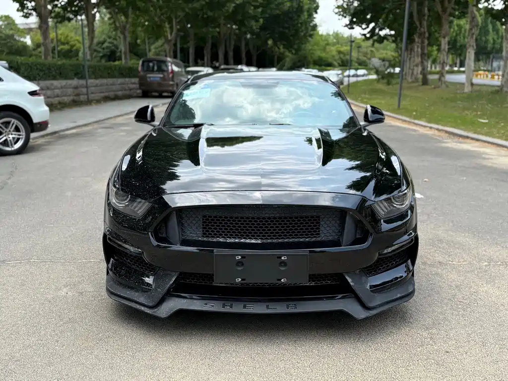 Ford Mustang — миниатюра 2