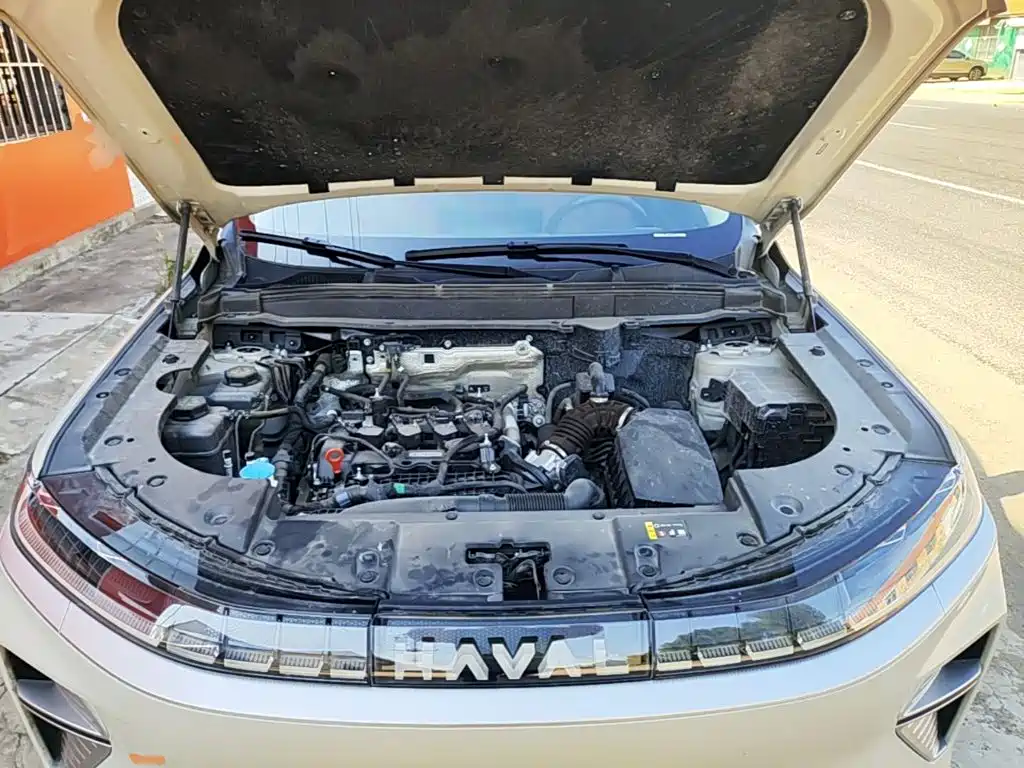 Haval Xiaolong MAX — миниатюра 20