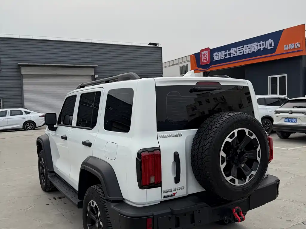 TANK TANK 300 NEW ENERGY