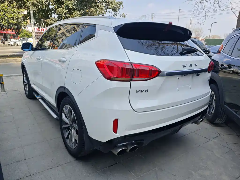 WEI PAI WEI BRAND VV6