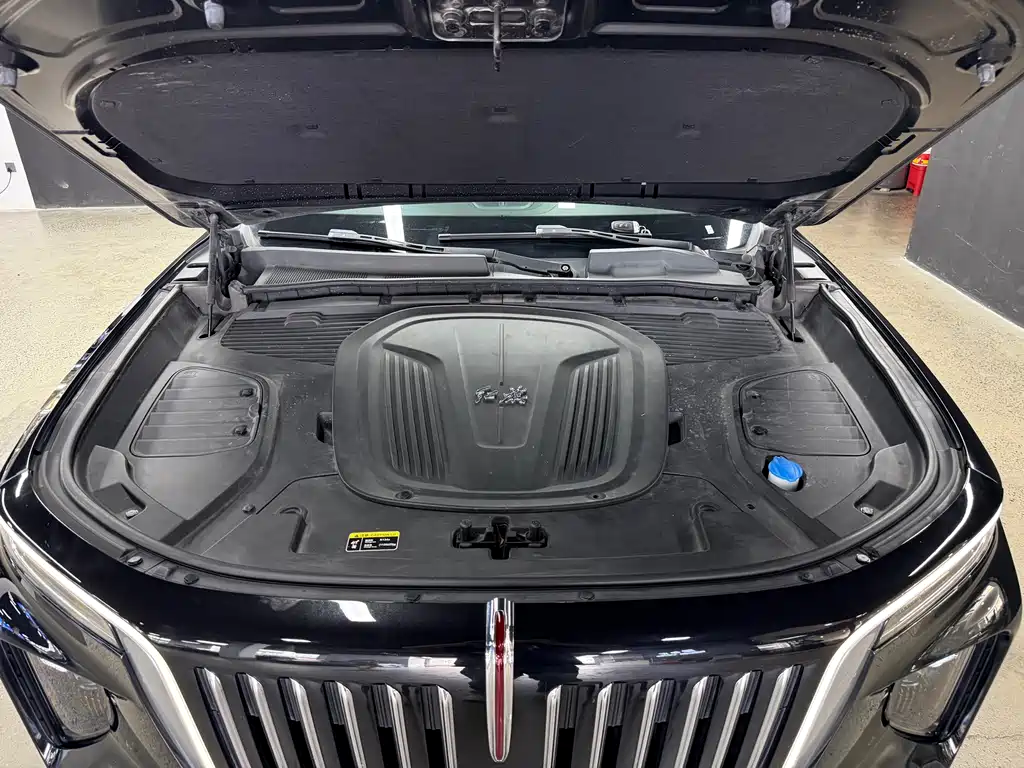Hongqi Hongqi E-HS9 — миниатюра 28