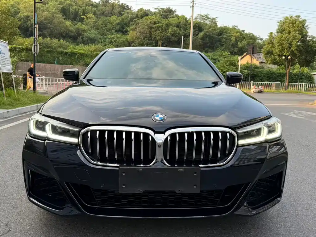 BMW 5 Series — миниатюра 2