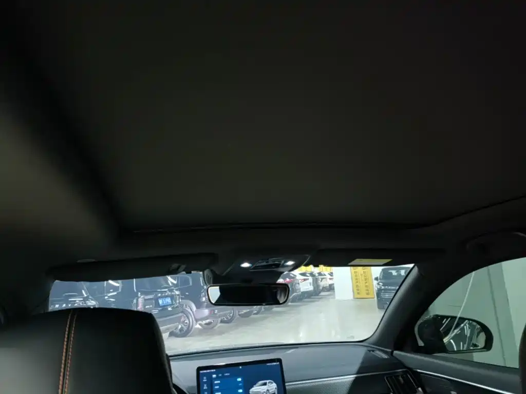 BYD PLUS New Energy — миниатюра 18