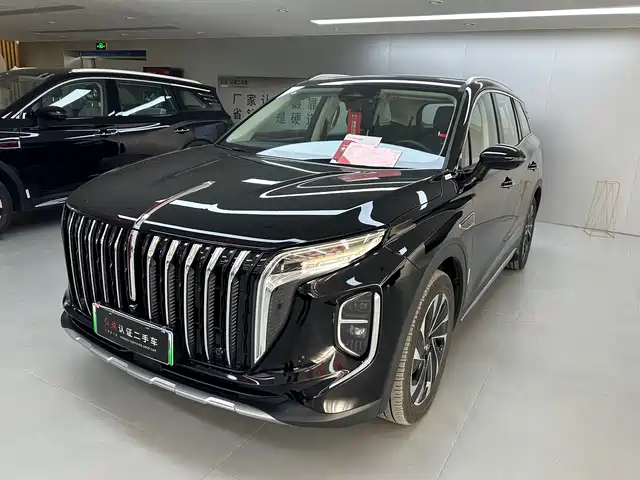 2024 Hongqi HS7