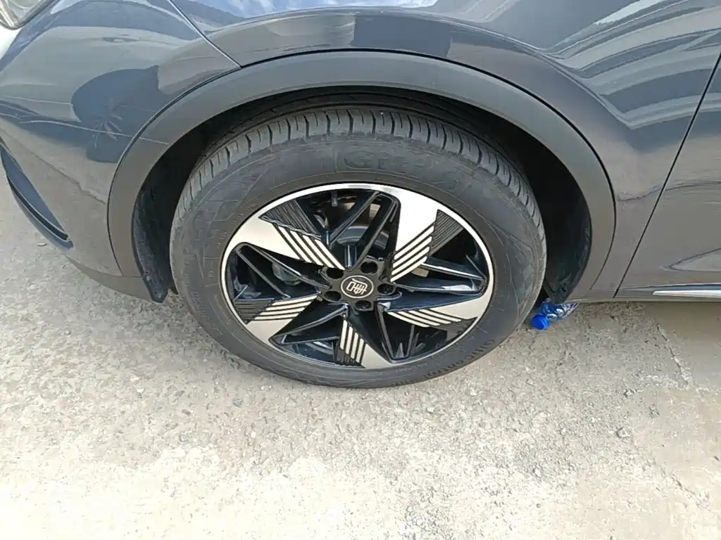 BYD Tang New Energy — миниатюра 23