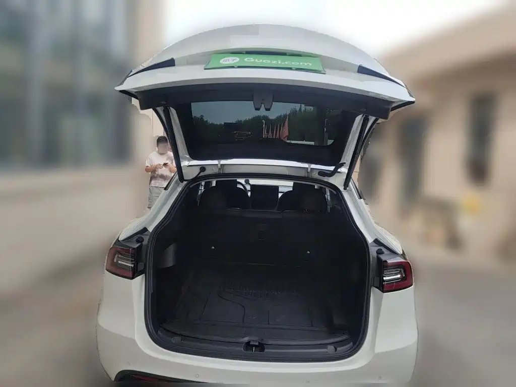 Tesla Model Y — миниатюра 10