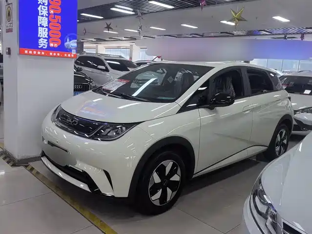 2026 BYD Dolphin