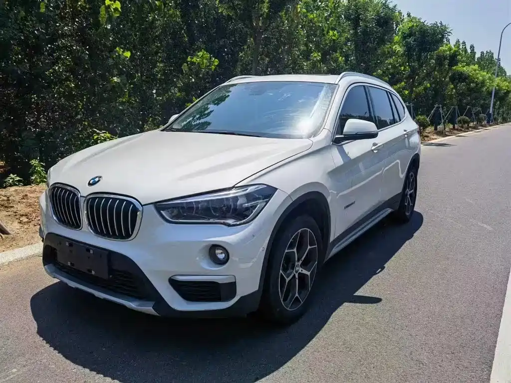 BMW X1 2018 sDrive18Li Fashion