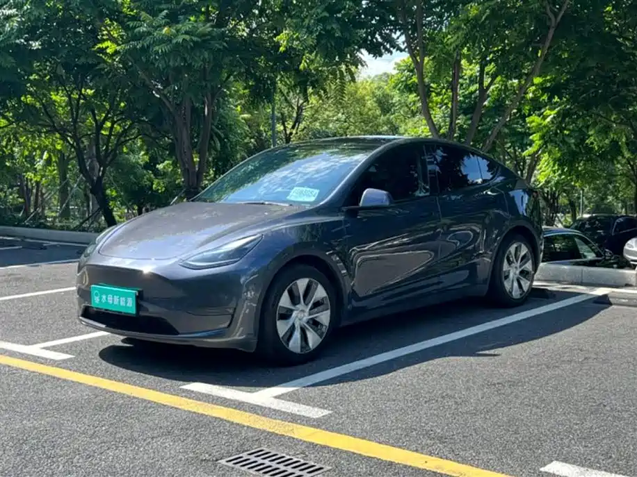 Tesla Model Y 2021 Standard Range RWD Edition