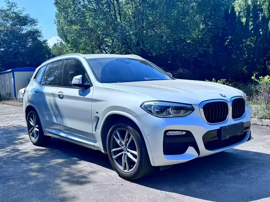 BMW X3 — миниатюра 2