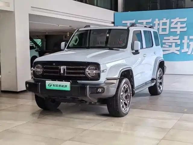 2024 TANK 300